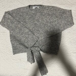 Petal & Pup Gray Crew Neck Sweater